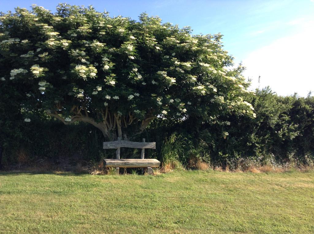 Stabannan Deeside Manor Bed & Breakfast エクステリア 写真