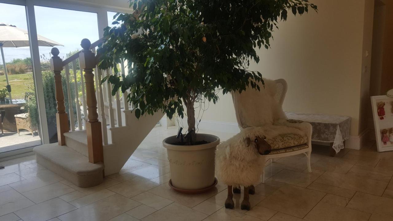 Stabannan Deeside Manor Bed & Breakfast エクステリア 写真